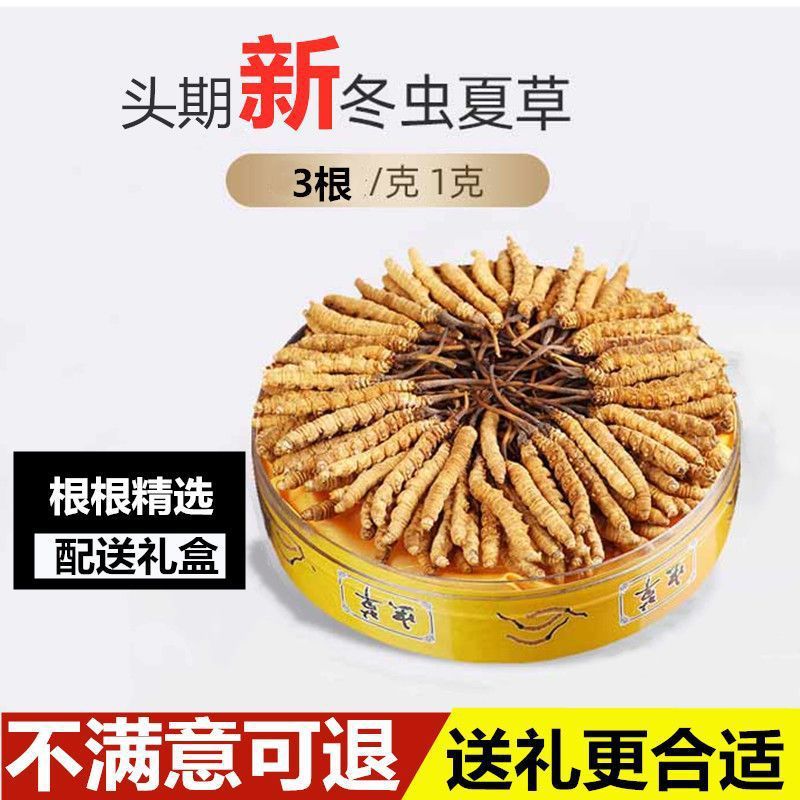 冬虫夏草正品西藏那曲干虫草3根一克产地直销全国批发代发零售
