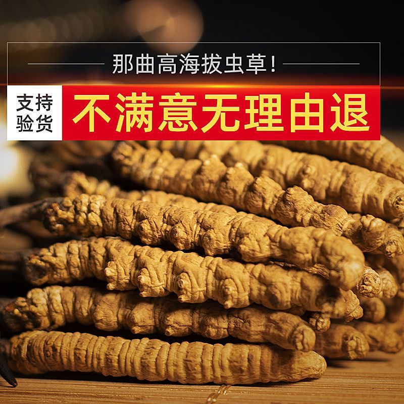 冬虫夏草正品西藏那曲干虫草3根一克产地直销全国批发代发零售