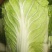 黄心白菜，包头白菜，小黄心，净菜。本地包头白菜，包头白菜