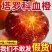 四川塔罗科血橙