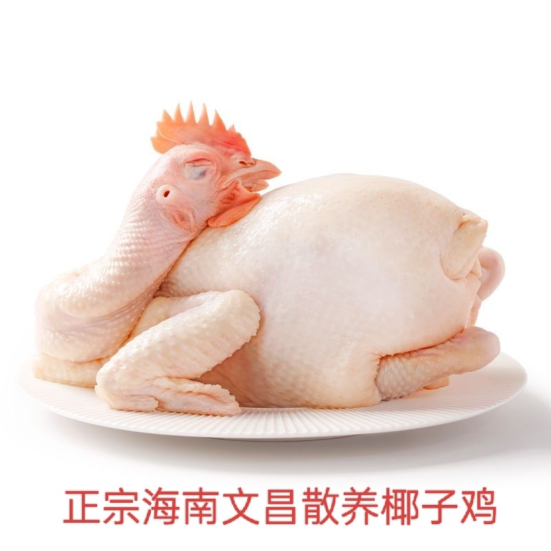 海南文昌散养鸡新鲜发货