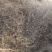 白花蛇舌草，中药材量大从优人工拣选品种保证。
