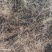 白花蛇舌草，中药材量大从优人工拣选品种保证。