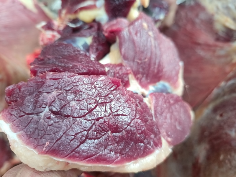 青海牦牛肉/牦牛肉/万亩草原/肉质好口感佳/产地直发