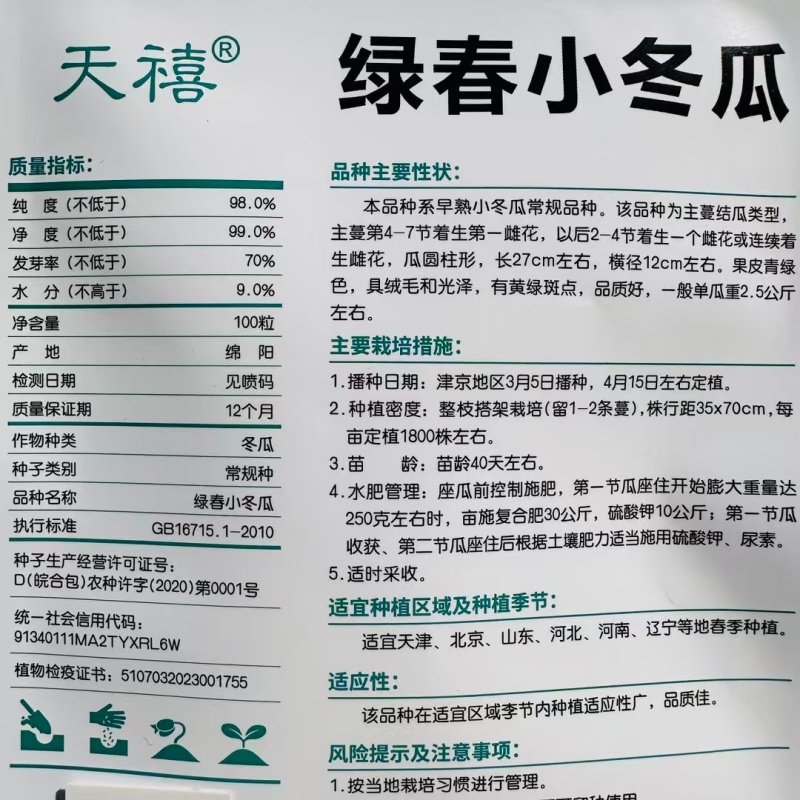 早绿小冬瓜种子绿春小冬瓜种子迷你毛瓜东瓜种籽高产四季蔬菜