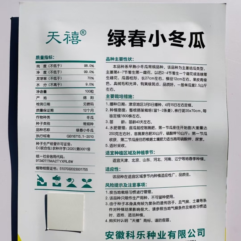 早绿小冬瓜种子绿春小冬瓜种子迷你毛瓜东瓜种籽高产四季蔬菜