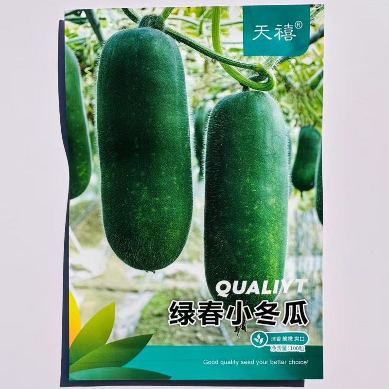早绿小冬瓜种子绿春小冬瓜种子迷你毛瓜东瓜种籽高产四季蔬菜