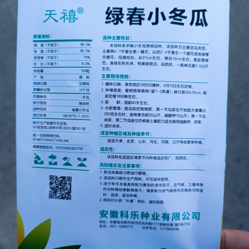 早绿小冬瓜种子绿春小冬瓜种子迷你毛瓜东瓜种籽高产四季蔬菜