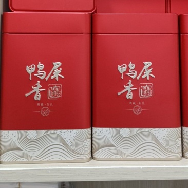 春高山老枞《鸭屎香》香气高昂茶水清甜山韵味好