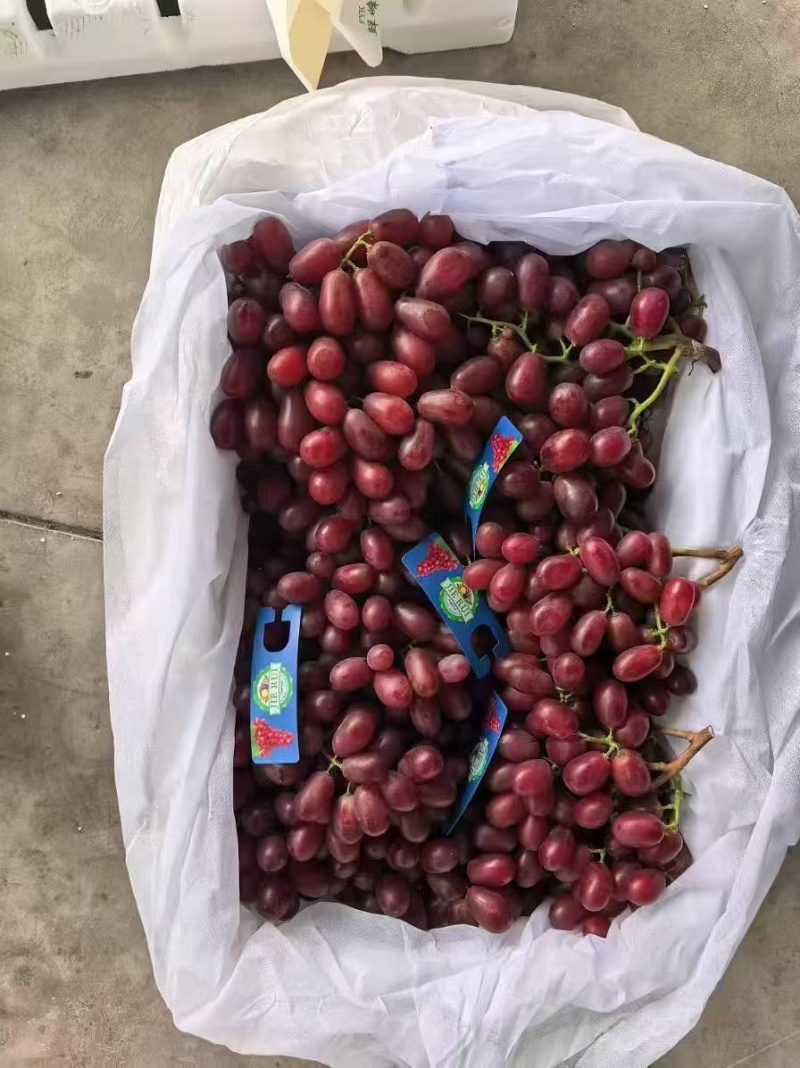 克伦生大量有货，货好价格低，各种高低中档次都有货。需要联