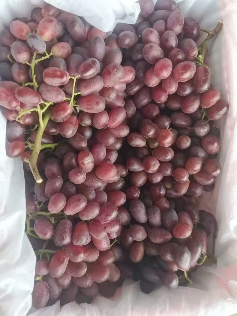 克伦生大量有货，货好价格低，各种高低中档次都有货。需要联