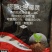 约克嘧菌酯噁霉灵正品恶霉灵传病害土壤颗粒杀