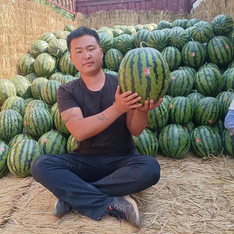 甜王西瓜，大量上市中，我处包装齐全，配车方便，产地直供