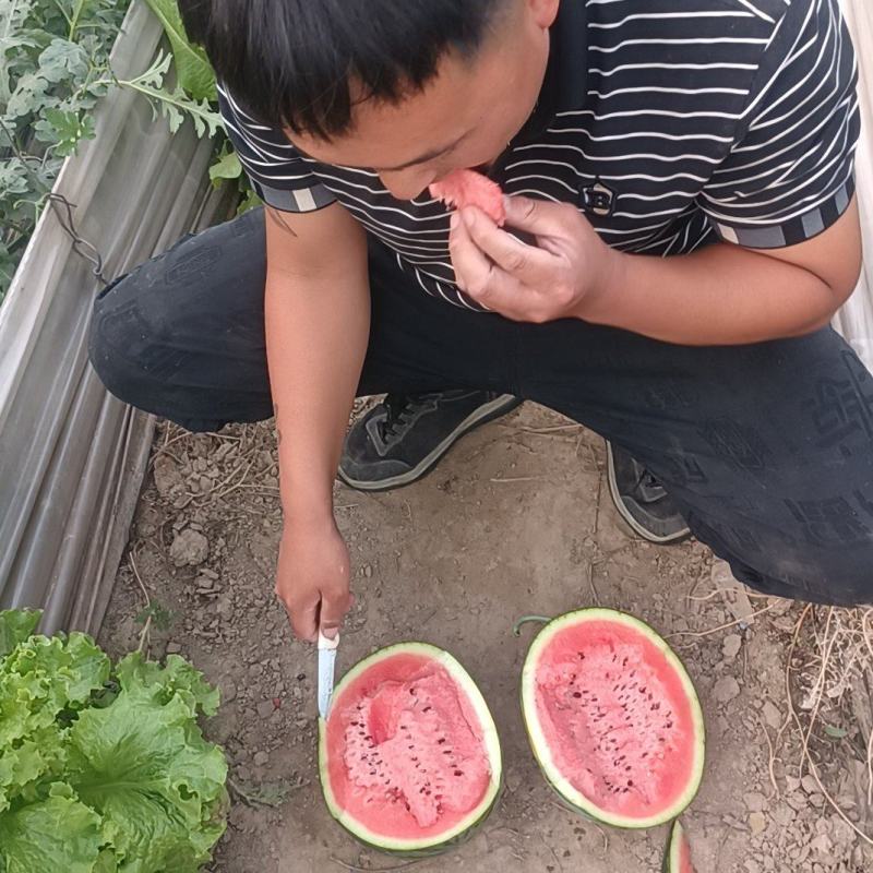 甜王西瓜山东西瓜产地直销货源充足包装齐全欢迎老板预购