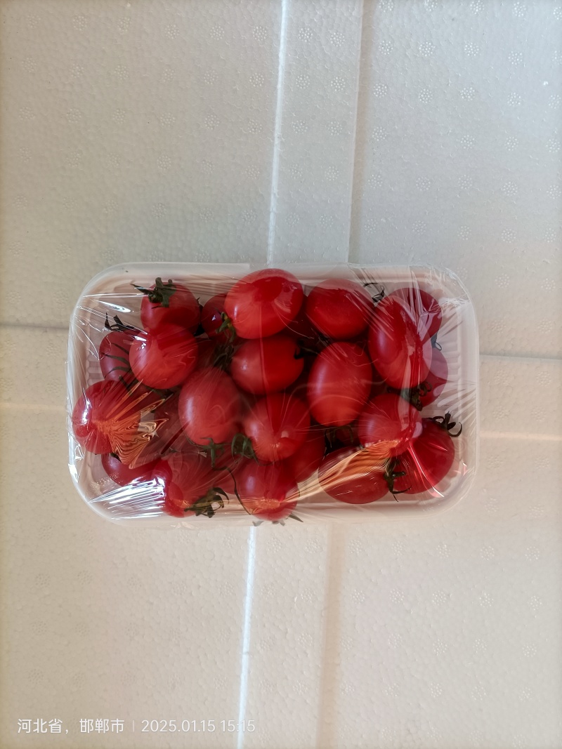 春节套菜