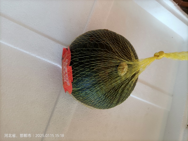 春节套菜
