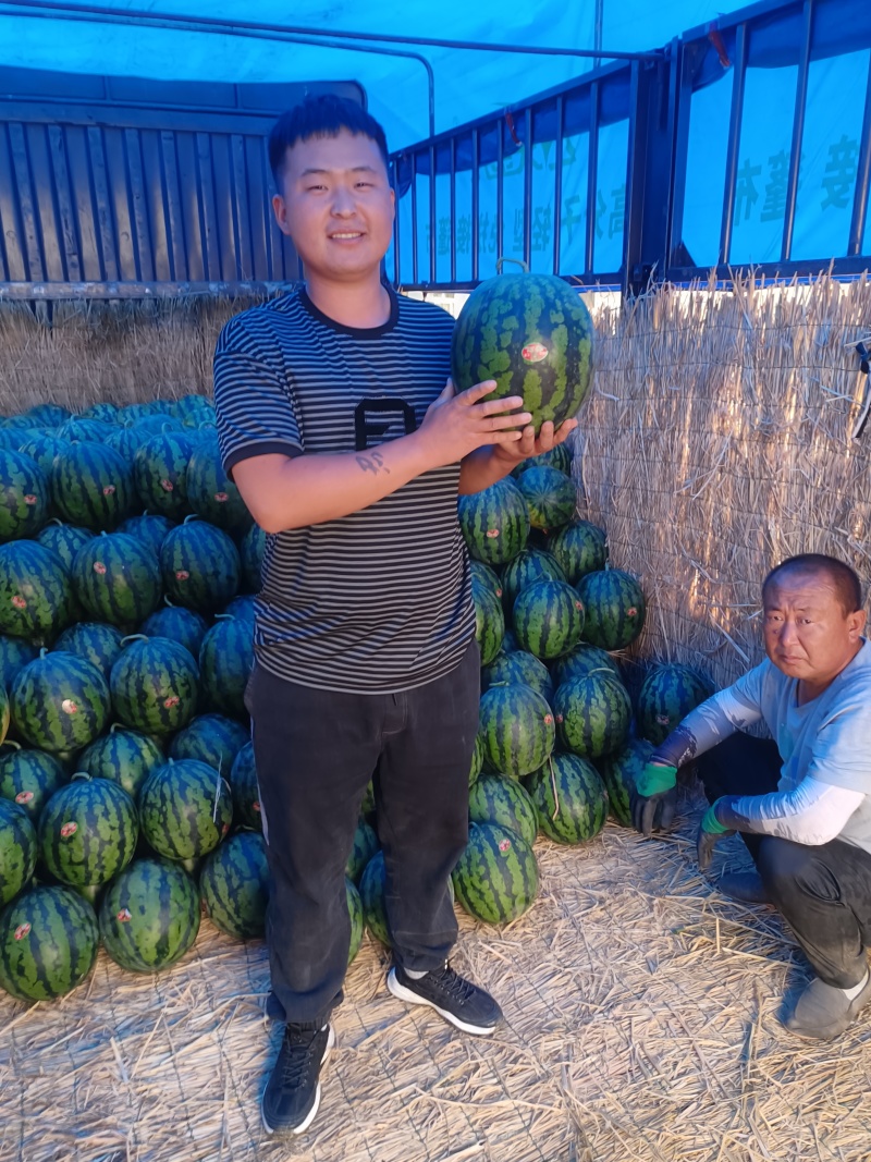 甜王西瓜，山东甜王，支持视频看货，全国代发