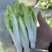 2015年精品毛白菜苔芽白苔