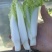 2015年精品毛白菜苔芽白苔