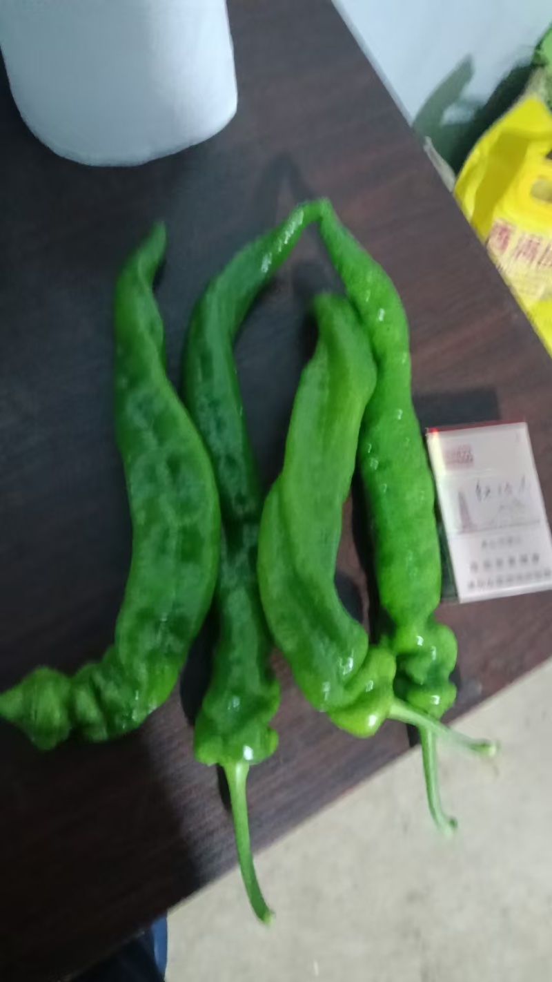 （热卖推荐）精品陇椒/螺丝椒/甘肃鲜辣椒/全国批发供应
