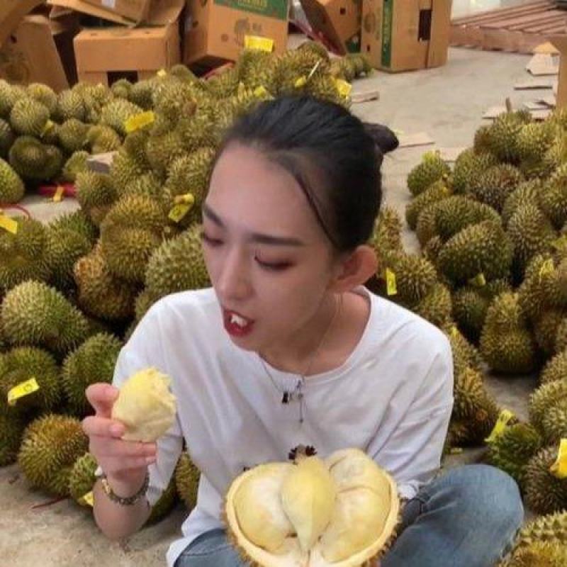 金枕榴莲一手批发价格，A果保5房，坏果包赔，货到付款
