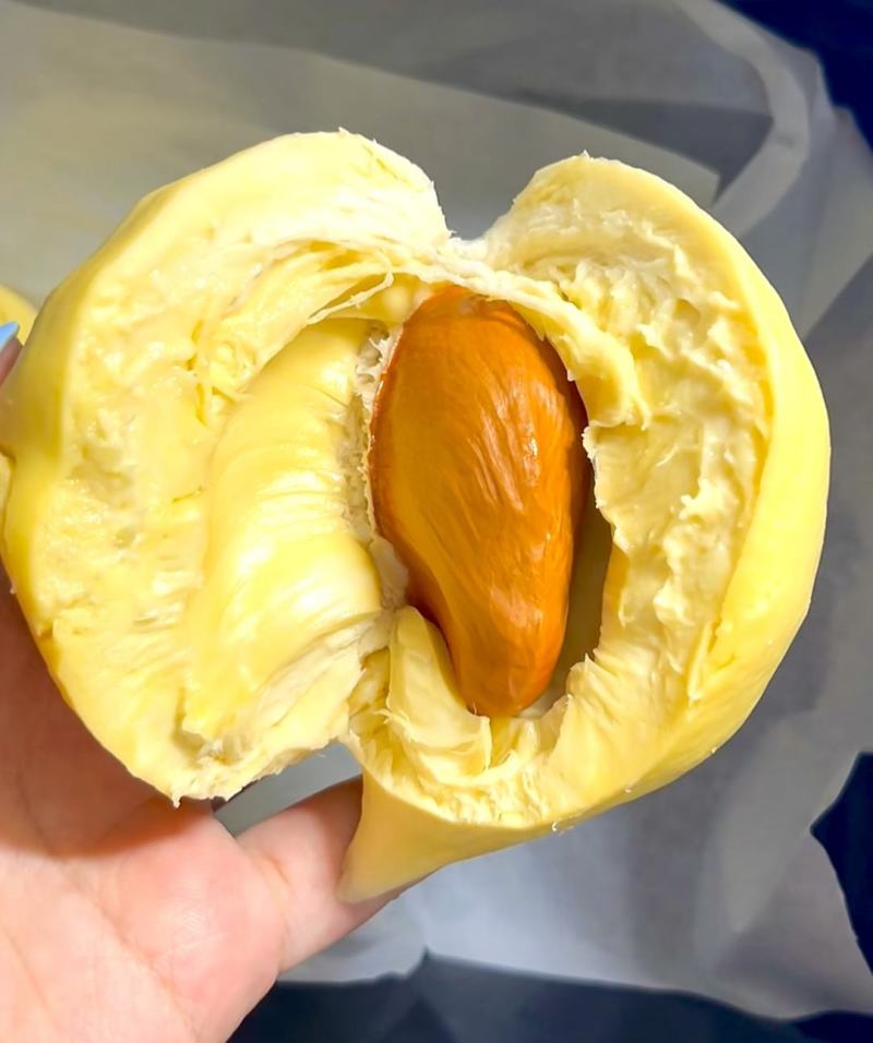 金枕榴莲一手批发价格，A果保5房，坏果包赔，货到付款