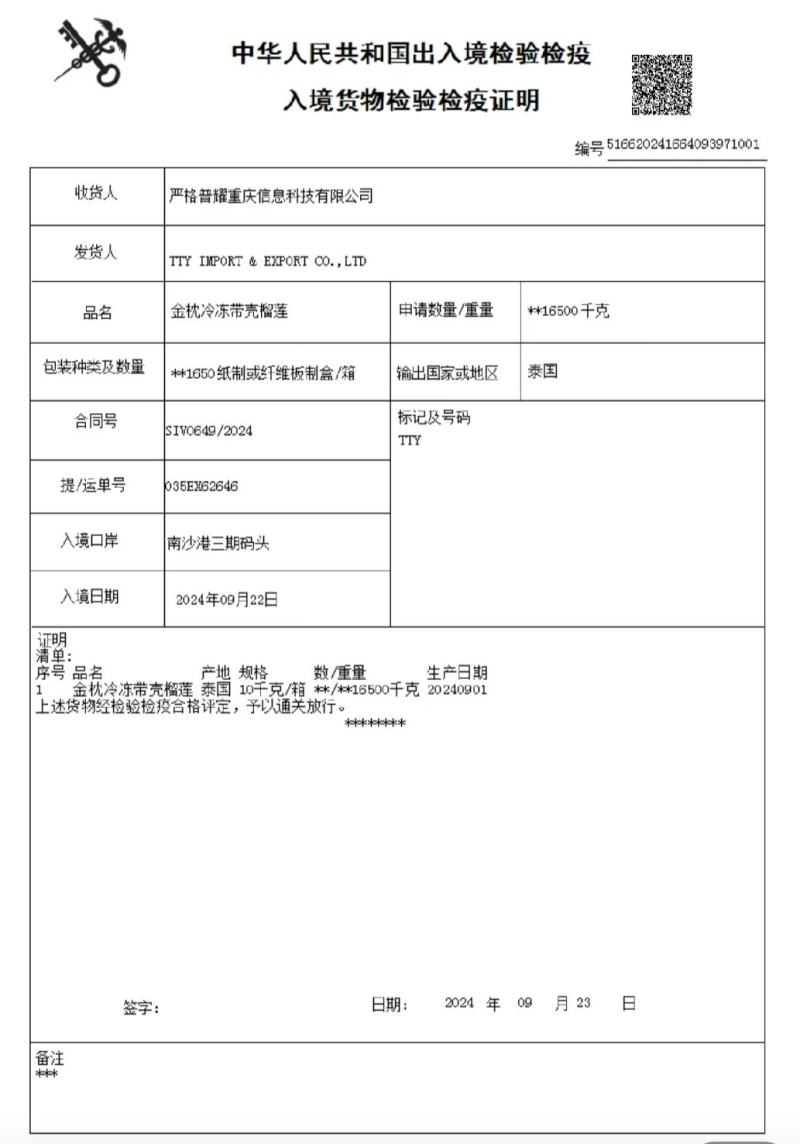 金枕榴莲一手批发价格，A果保5房，坏果包赔，货到付款