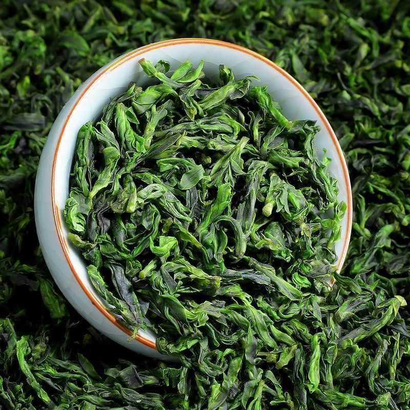 景福山小叶苦丁茶嫩芽青山绿水峨眉山茶叶新茶泡水花茶40