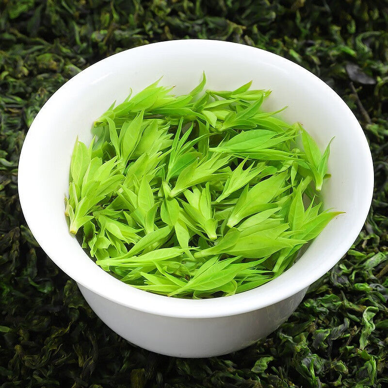 景福山小叶苦丁茶嫩芽青山绿水峨眉山茶叶新茶泡水花茶40