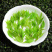 景福山小叶苦丁茶嫩芽青山绿水峨眉山茶叶新茶泡水花茶40