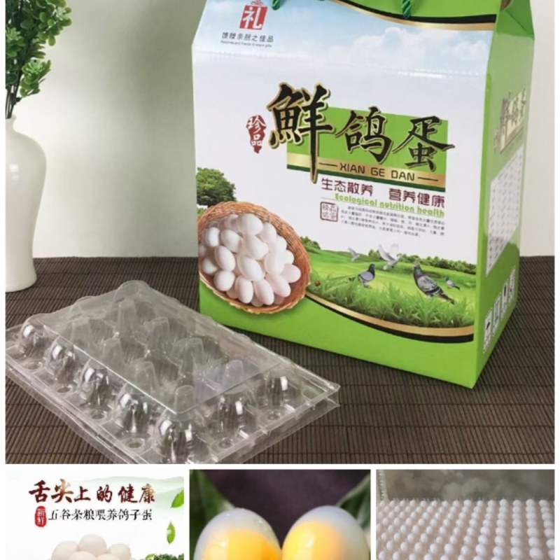新鲜鸽子蛋