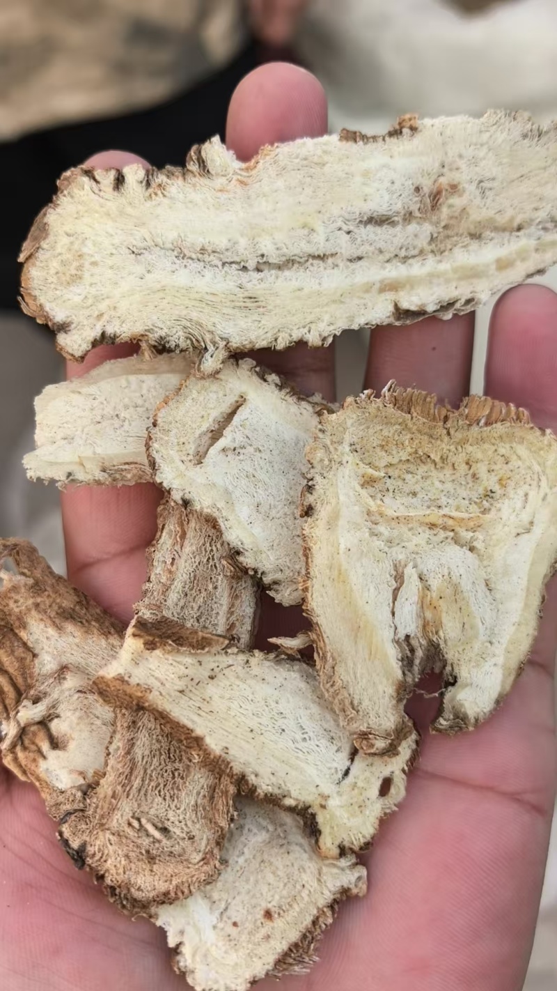 精品大货独活头片