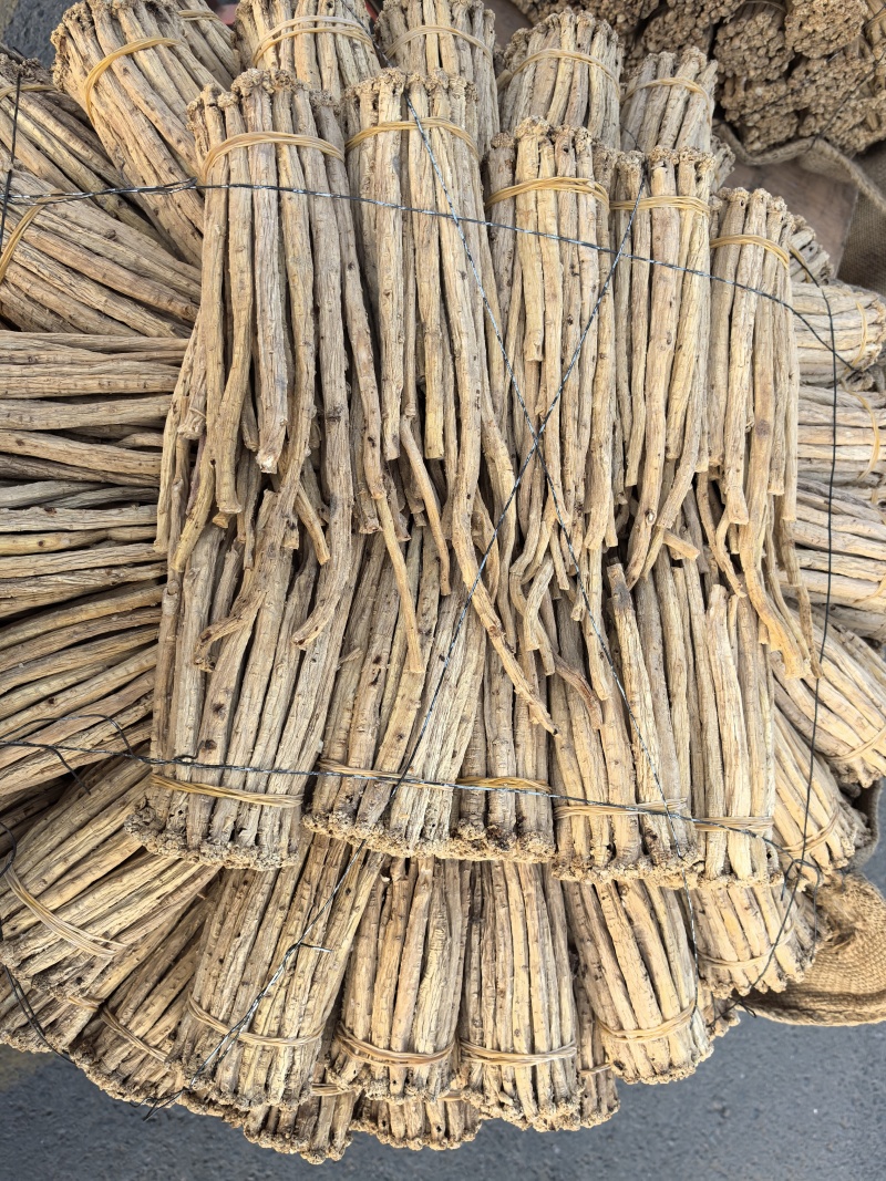精品大条党参。