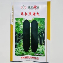 湘研亮长黑老大冬瓜种子特大高产黑皮冬瓜种籽大全铁心大