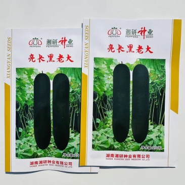 湘研亮长黑老大冬瓜种子特大高产黑皮冬瓜种籽大全铁心大