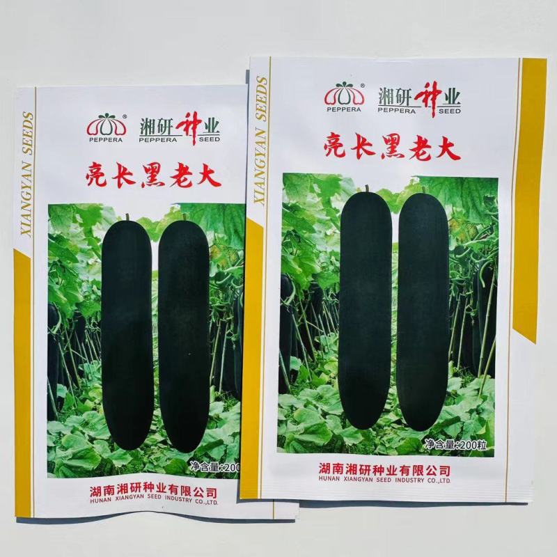 湘研亮长黑老大冬瓜种子特大高产黑皮冬瓜种籽大全铁心大