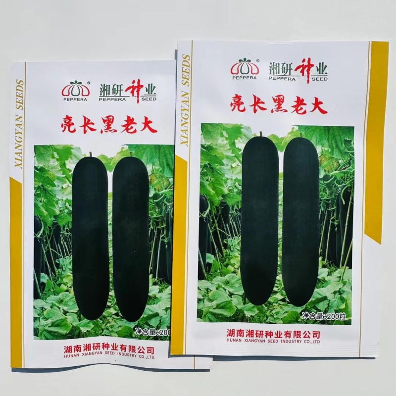 湘研亮长黑老大冬瓜种子特大高产黑皮冬瓜种籽大全铁心大