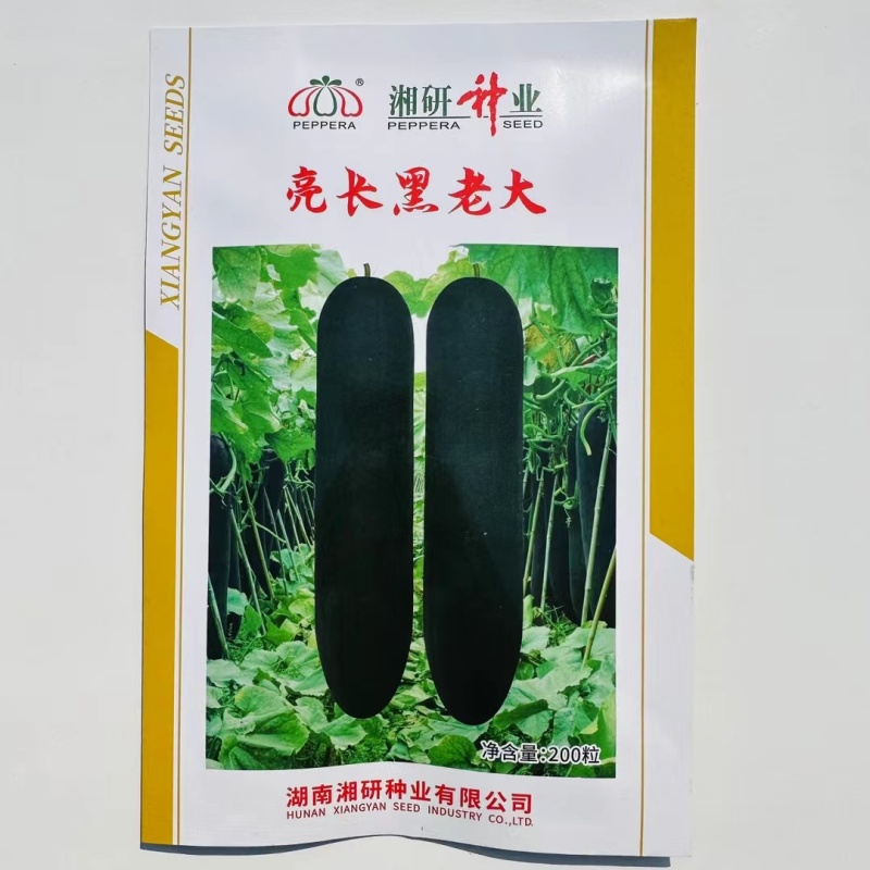 湘研亮长黑老大冬瓜种子特大高产黑皮冬瓜种籽大全铁心大