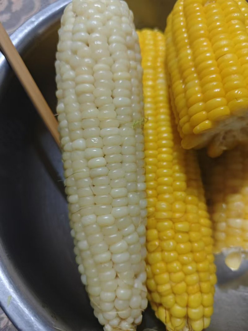 精品冻玉米/冷库货，质量有保证，大量有货/欢迎来电咨询
