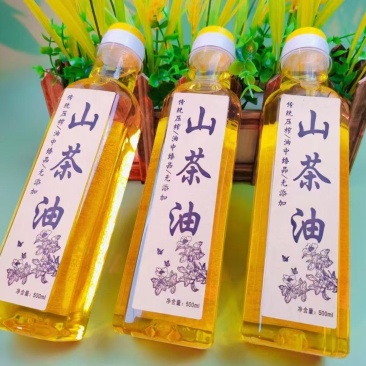 山茶油量大优惠，一次合作终身朋友，欢迎各地老板前来合作