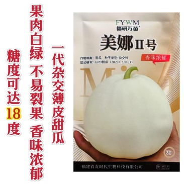 美娜2号甜瓜种子薄皮白色甜瓜种籽果肉白绿不易裂果特甜甜瓜