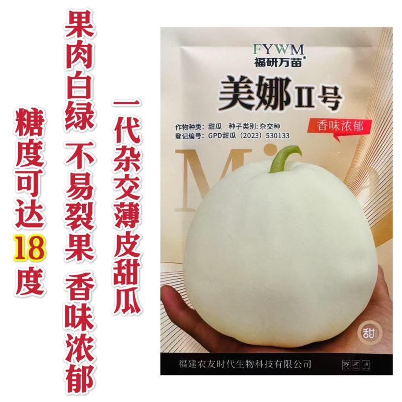 美娜2号甜瓜种子薄皮白色甜瓜种籽果肉白绿不易裂果特甜甜瓜