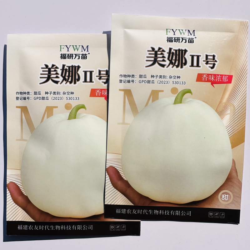 美娜2号甜瓜种子薄皮白色甜瓜种籽果肉白绿不易裂果特甜甜瓜