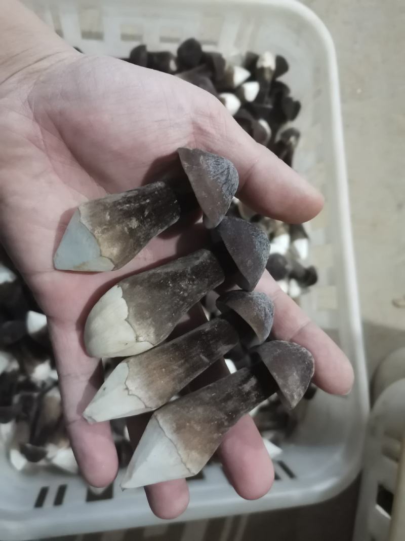 基地直供，货品保证，鲜甜可口，鲜品现货现发