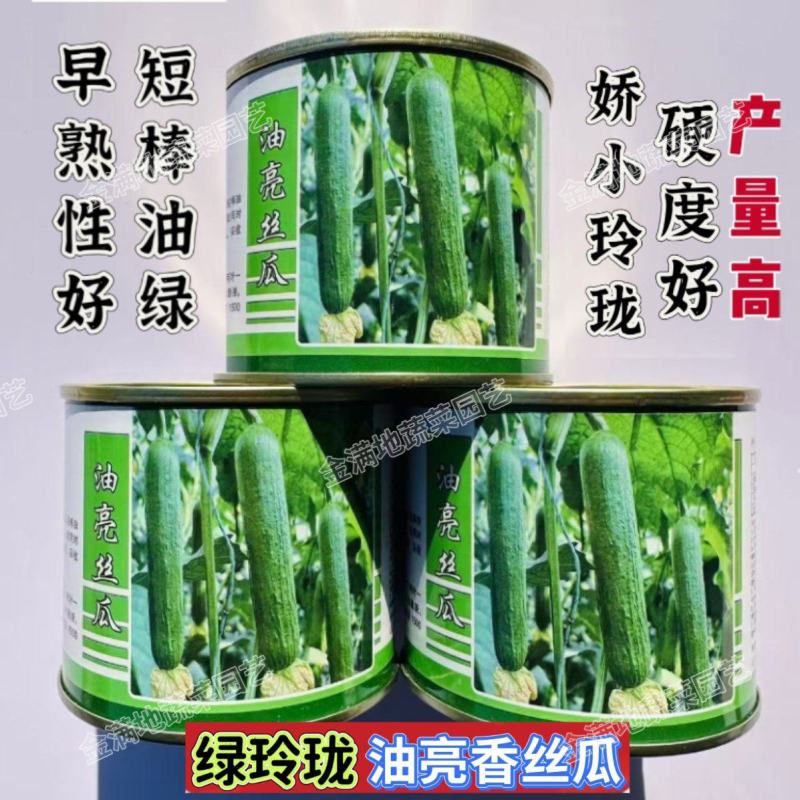 绿玲珑油亮香丝瓜种子早熟种籽高产光滑短棒油绿丝瓜种子大棚