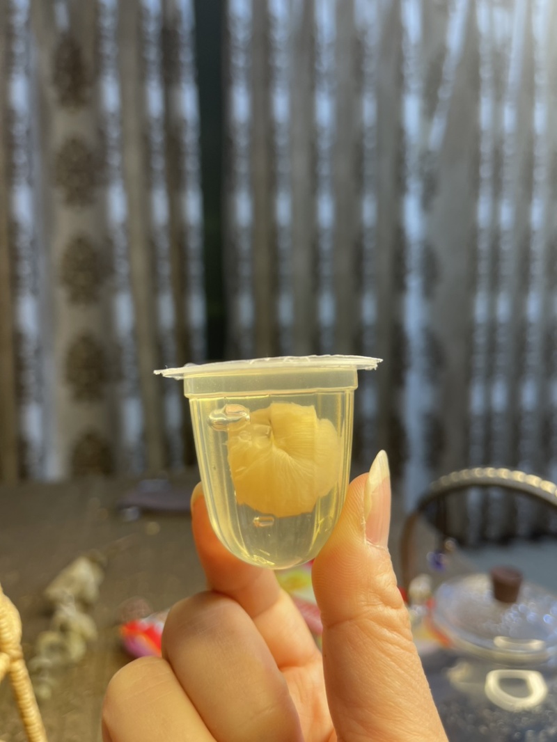 【大量有货】蜂蜜桂圆肉果冻品质保证欢迎选购
