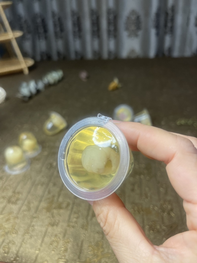 【大量有货】蜂蜜桂圆肉果冻品质保证欢迎选购