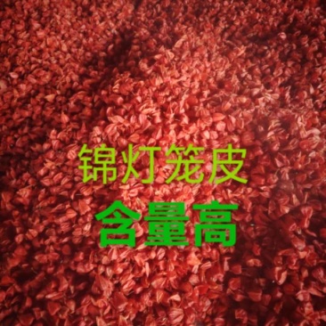 锦灯笼，各种规格锦灯笼，无杂无硫，含量高