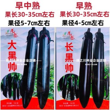 杂交一代油黑长茄种子四川长黑帅大黑帅茄子种子果肉淡绿