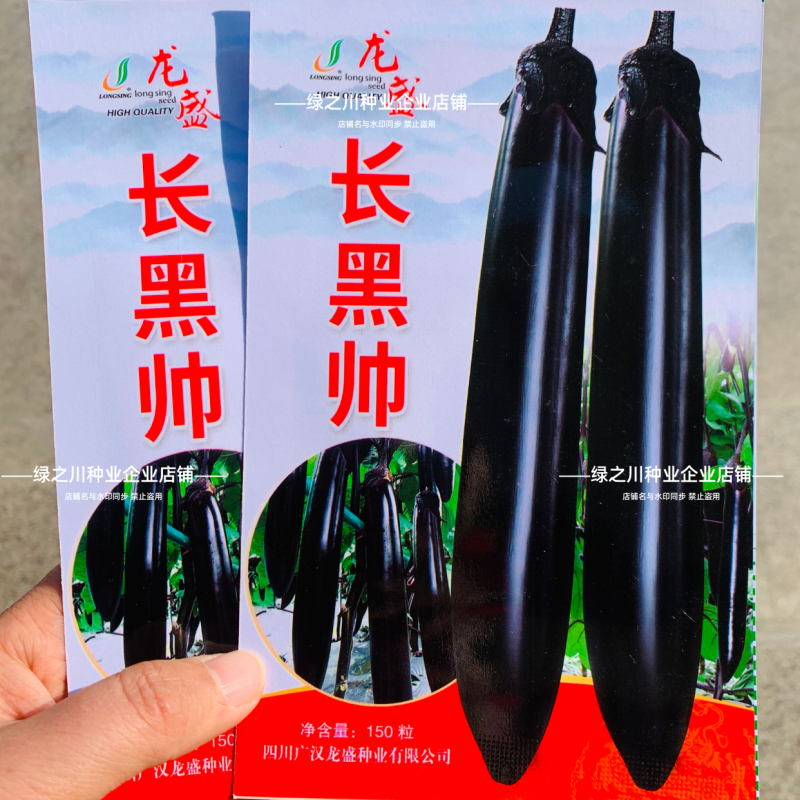 杂交一代油黑长茄种子四川长黑帅大黑帅茄子种子果肉淡绿